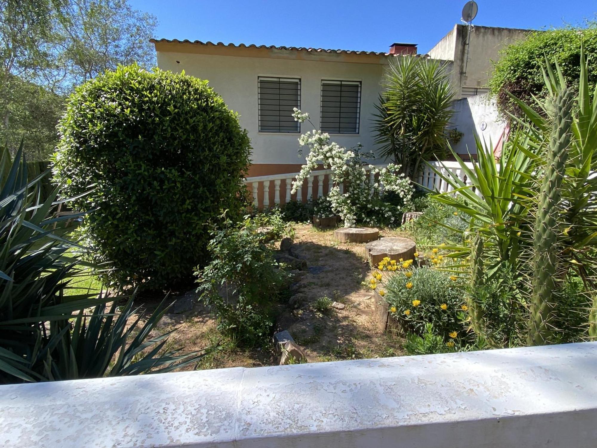 Ondinas Del Las Jaras